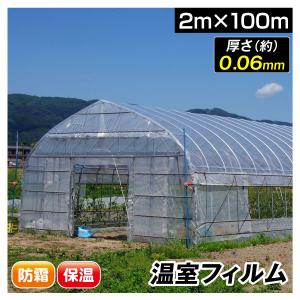 ビニール フィルム 温室フィルム 0.06mm 3m×50m 1巻 被覆資材 農業用