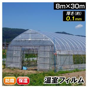 ビニール フィルム 温室フィルム厚型 0.15mm 8m×30m 1巻 農業用