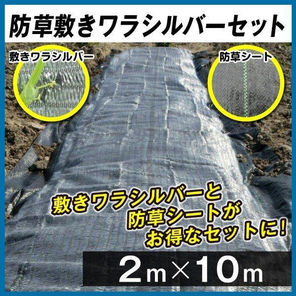 農業用マルチシート 敷きわら 防草シート 防草敷きワラシルバーセット 2m×10m 1組 農用 お得...