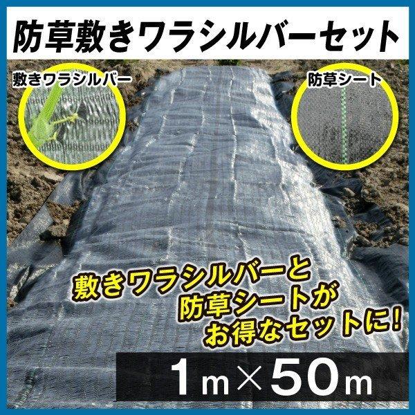 農業用マルチシート 敷きわら 防草シート 防草敷きワラシルバーセット 1m×50m 1組 農用 お得...