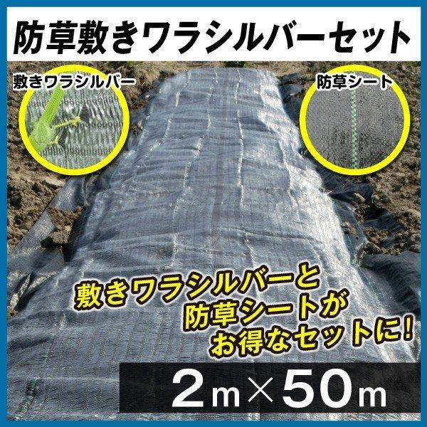 農業用マルチシート 敷きわら 防草シート 防草敷きワラシルバーセット 2m×50m 1組 農用 お得...