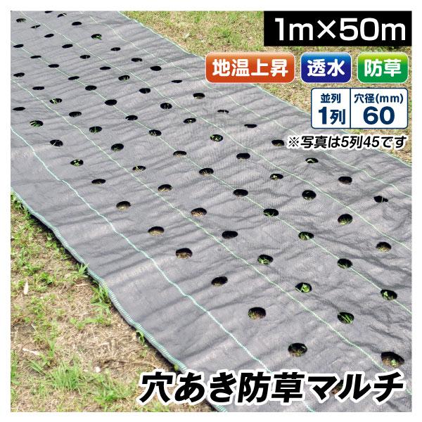 農業用マルチシート 穴あき防草マルチ 1列60 1×50m 1巻1組 農用 マルチング 防草シート ...