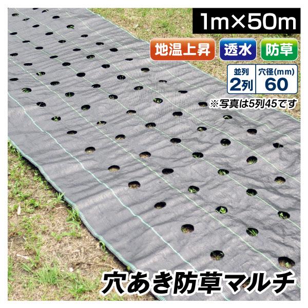 農業用マルチシート 穴あき防草マルチ 2列60 1×50m 1巻1組 農用 マルチング 防草シート ...