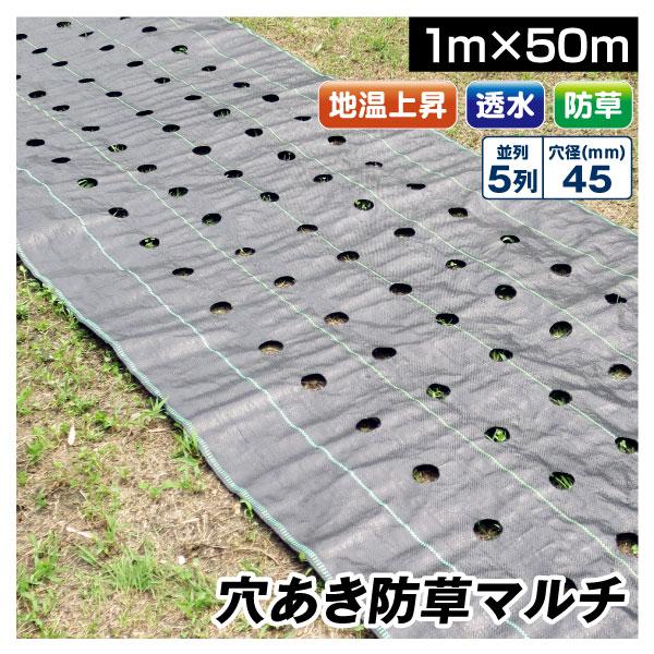 農業用マルチシート 穴あき防草マルチ 5列45 1×50m 1巻1組 農用 マルチング 防草シート ...