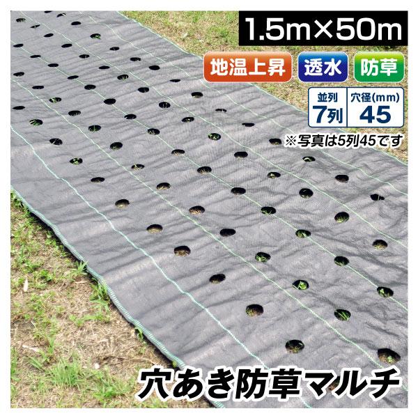 農業用マルチシート 穴あき防草マルチ 7列45 1.5×50m 1巻1組 農用 マルチング 防草シー...