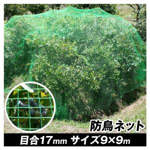 防鳥ネット 丈夫な防鳥ネット(6m×25m)1巻 目合17mm グリーン 防鳥ネット 丈夫な防鳥ネット(6m×25m)1巻 目合17mm グリーン