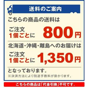 国華園 草刈り機 草刈機 バリカン 充電式 充...の詳細画像1