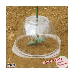 苗ドーム・大 10個1組 苗カバー 保温グッズ 国華園