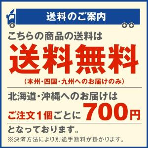 国華園 サーモ付パネルヒーター 1台 0.2坪...の詳細画像1