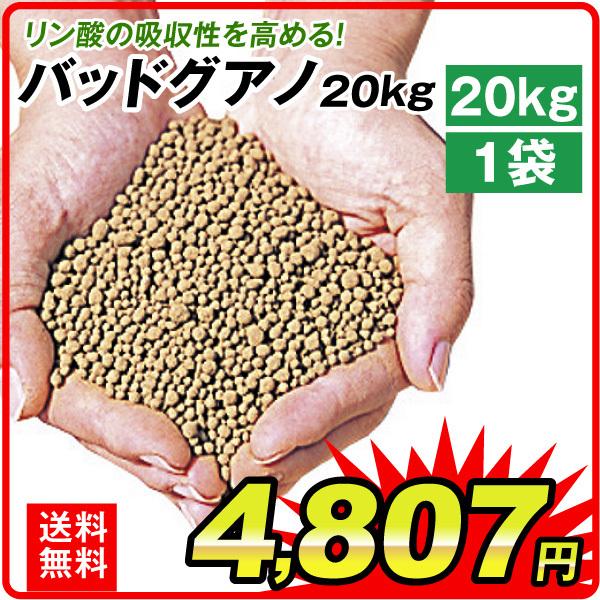 肥料 肥料 バッドグアノ リンサングアノ 20kg 1袋 国華園