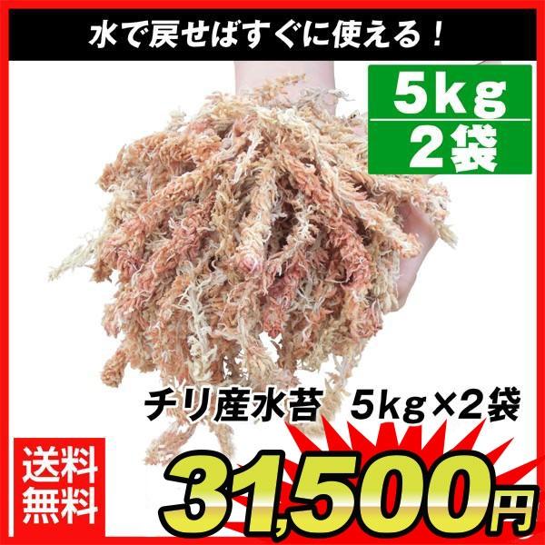 水苔 水ごけ 10kg チリ産 水苔 5kg×2袋1組（合計約10kg） 盆栽 菊 蘭 キク ラン ...