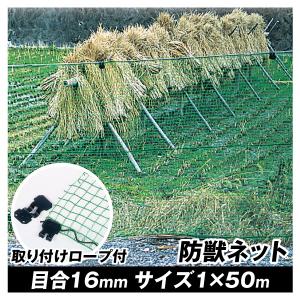 防獣ネット 動物よけ アニマルネット（1m×50m）1巻 目合16mm グリーン 網 イノシシ シカ 防鳥 鳥よけ 国華園｜kokkaen