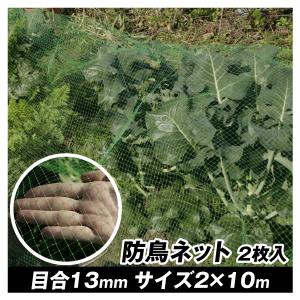 防鳥ネット ふんわりガードネット（2m×10m・2枚1組）目合13mm グリーン 網 防鳥 防蛾 鳥よけ 国華園