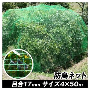 防鳥ネット 丈夫な防鳥ネット（4m×50m）1巻 目合17mm グリーン 網 防鳥 鳥よけ 国華園｜kokkaen