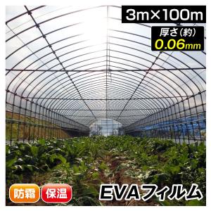 国華園 ビニール フィルム 温室フィルム EVAフィルム厚型 8m×30m 1巻