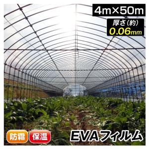 国華園 ビニール フィルム 温室フィルム 0.06mm 3m×100m 1巻 被覆資材