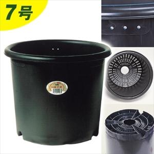 鉢 植木鉢 菊鉢 ニュー菊鉢 7号 1個 菊栽培...の商品画像