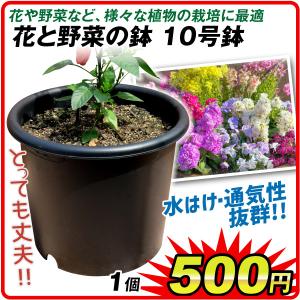 鉢 植木鉢 置き場 プランター 10号 根の張るスーパー植木鉢 30型 10個