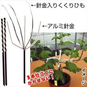 国華園 菊作り用品 三本立誘引具 3本1組 菊資材 : 花と緑 国華園