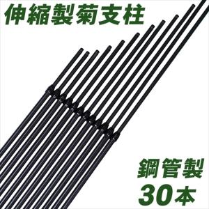 支柱 鋼管製スーパーデラックス 菊支柱 30本1組 国華園 国華園｜kokkaen