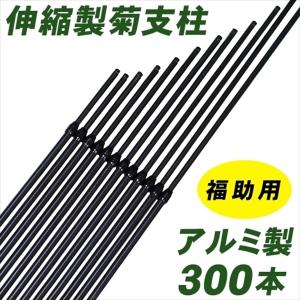 63255020_3