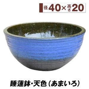 睡蓮鉢 すいれん鉢 天色（あまいろ）大 1個 直径40・高さ20cm メダカ鉢 ハス鉢 陶器 水鉢 ビオトープ 国華園｜kokkaen