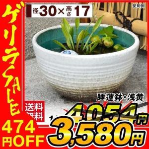 花と緑 国華園 睡蓮鉢 鉢 プランター Yahoo ショッピング
