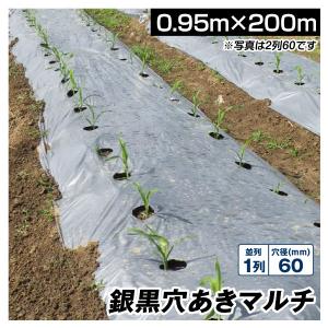 農業用マルチシート 農ポリ 銀黒穴あきマルチ1列60 0.95×200ｍ 1巻1組 農用 マルチマルチング 被覆資材 ポリエチレン 防草 防虫 地温抑制 国華園