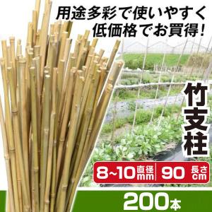 園芸 支柱 Φ8mm×90cm 100本 イボ付き鋼管製 個人宅OK イボ支柱 内