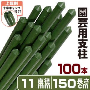 園芸 支柱 Φ20mm×200cm 100本 2m イボ付き鋼管製 個人宅OK イボ支柱 内