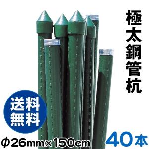 支柱 極太鋼管杭 園芸 農業 26mm・150cm 40本組 鋼管製 イボ竹