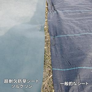 防草シート 1m×10m 農用シート 草よけ ...の詳細画像4