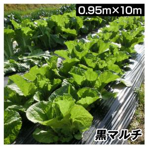 Kmaster 農業用マルチシート 農ポリ 黒マルチ 0.95×200m 1巻1組 農用
