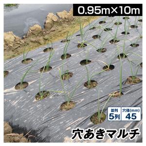 農業用マルチシート 農ポリ 黒穴あきマルチ 5列45