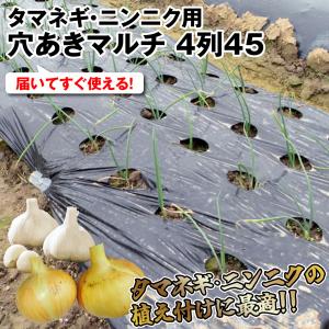 国華園 農業用マルチシート マルチング 農ポリ...の詳細画像1