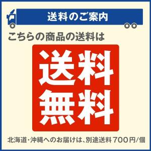 国華園 バッテリー 18V共通バッテリー 1個...の詳細画像3