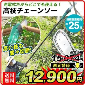 草刈り機 草刈機 チェーンソー 高枝切り 電動 充電式 コードレス 高枝チェーンソー 18V 枝切り 高木 低木 剪定 庭木 トリマー 国華園