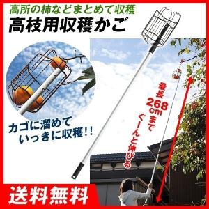 お庭の柿採りバスケット 1台 高枝用収穫かご 最長268cm