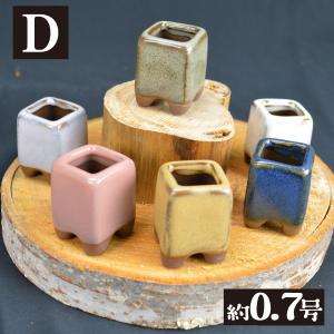 国華園 まめ盆栽鉢 匠 7種 (1箱4〜6個入...の詳細画像3