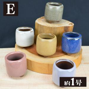 国華園 まめ盆栽鉢 匠 7種 (1箱4〜6個入...の詳細画像4