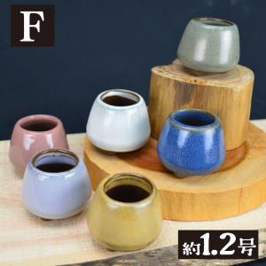 国華園 まめ盆栽鉢 匠 7種 (1箱4〜6個入...の詳細画像5