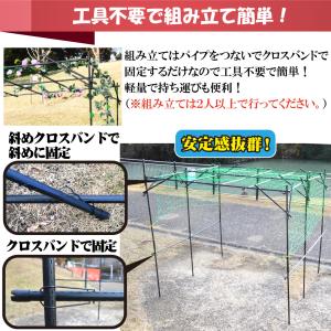 国華園 大型藤棚 1個 パーゴラ ガーデン ア...の詳細画像3
