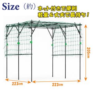 国華園 大型藤棚 1個 パーゴラ ガーデン ア...の詳細画像2