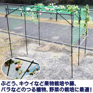 国華園 大型藤棚 1個 パーゴラ ガーデン ア...の詳細画像4
