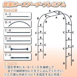 国華園 アーチ ガーデン バラ 鉄製 ローズ ...の詳細画像3