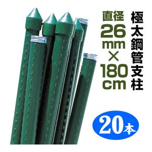防獣パイプ スチール 支柱 Φ19mm 1800mm 30本セット[防獣ネット 防獣柵