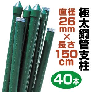 国華園 園芸 支柱 Φ20mm×90cm 100本 イボ付き鋼管製 個人宅OK イボ支柱
