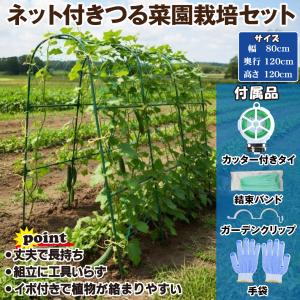 支柱 ネット付 つる菜園栽培セット 1個 つる...の詳細画像1