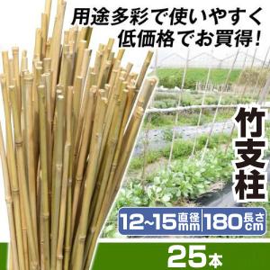 女竹 240cm 100本 篠竹 天然竹 しの竹 建築用 建築資材 造園用 雪吊