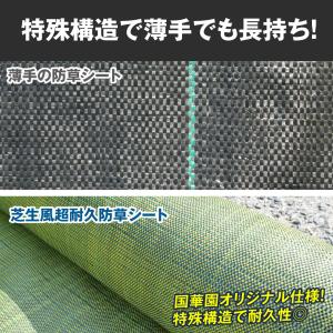 国華園 防草シート 0.5m×50m 農用シー...の詳細画像3